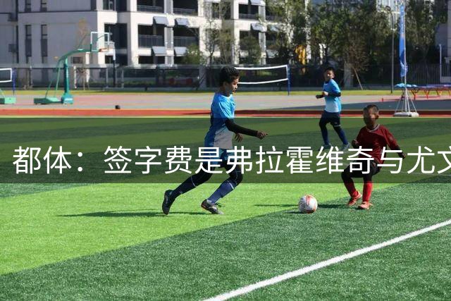 都体：签字费是弗拉霍维奇与尤文续约最大障碍，双方差价600万欧