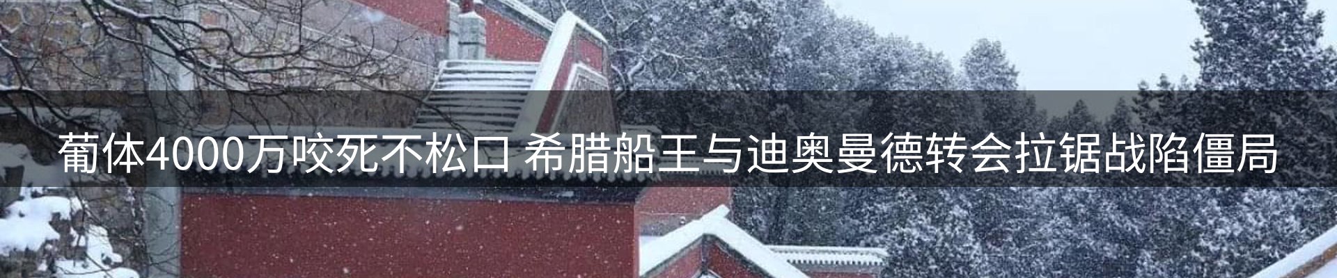新闻资讯